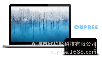 OPR-XI100D外置USB/内置系统集成采集卡