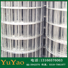 中国玉米网价格_今日最新中国玉米网价格行情