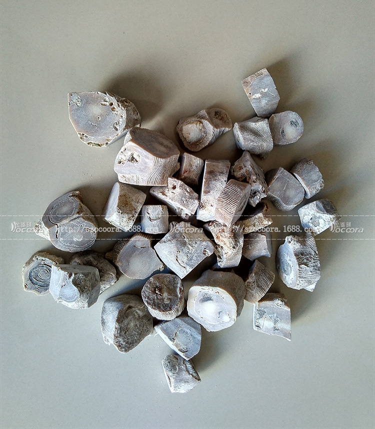 讴珂厂家大量供应进口海竹头料 批发海竹节