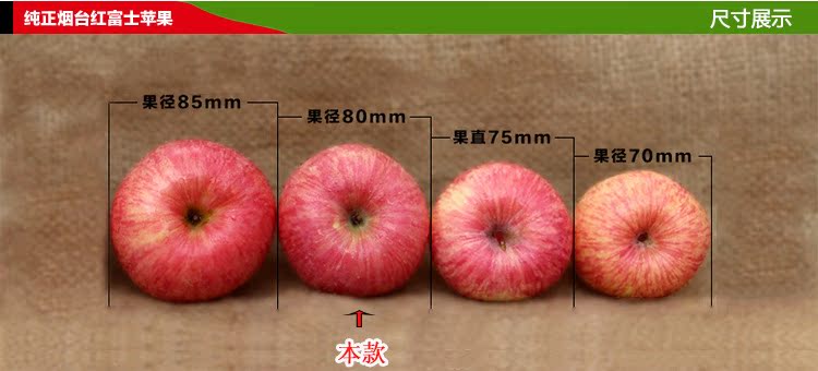 批发正宗烟台栖霞红富士苹果果径80mm 新鲜果蔬一件代发 苹果水果图片
