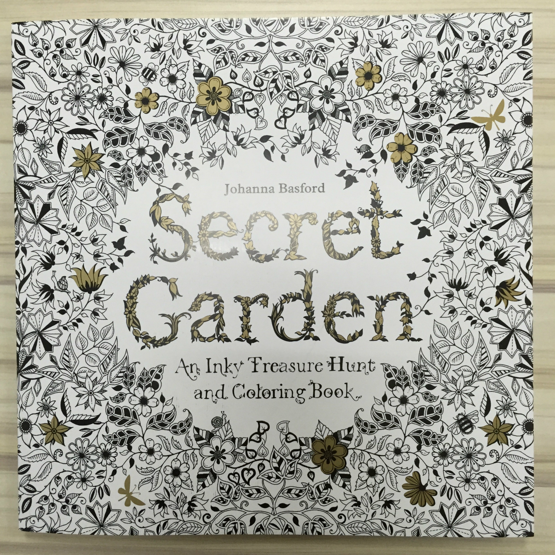秘密花园 secret garden 英文版填色本涂色本儿童礼物