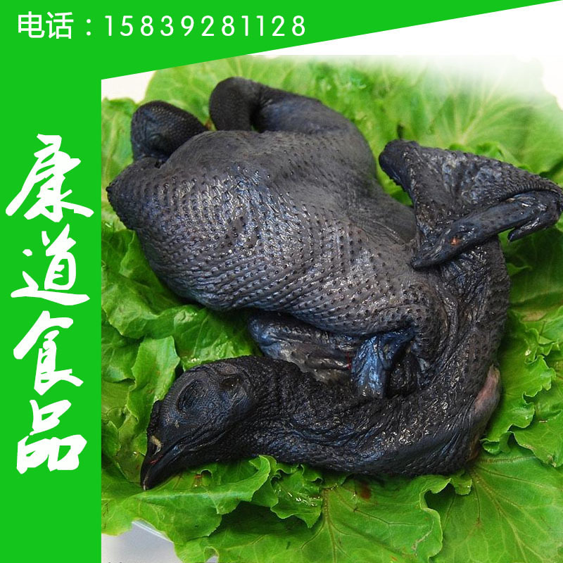 厂家直销 养生乌鸡 冷冻乌鸡 原种乌骨鸡 乌鸡白条