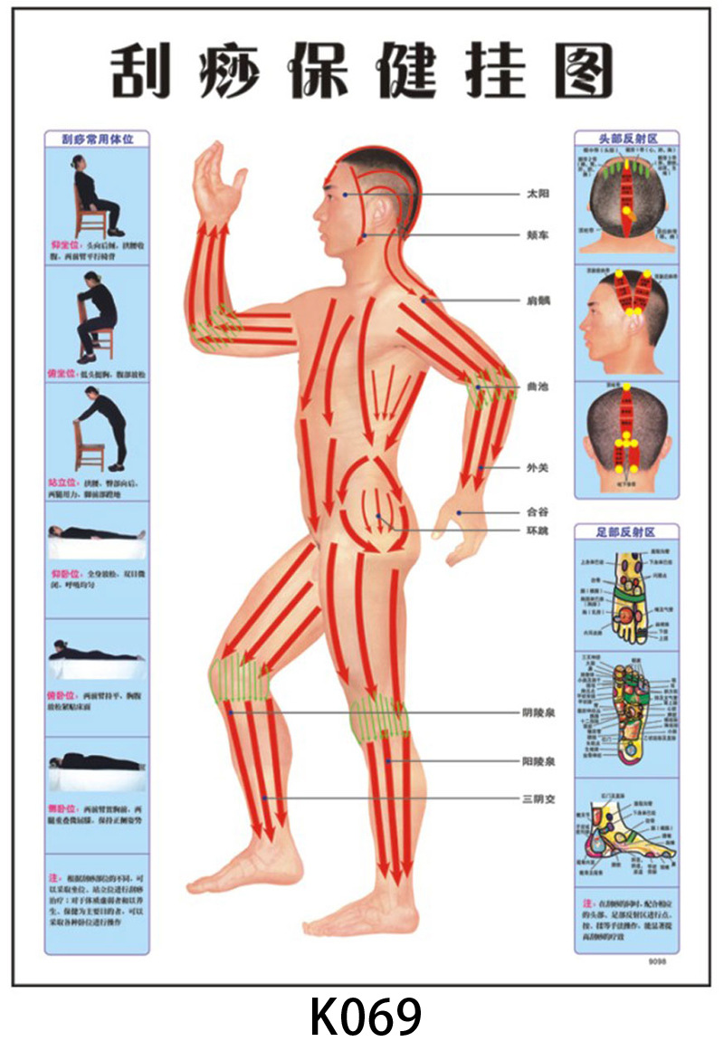 人体骨骼消化系统刮痧保健pvc凹凸吸塑挂