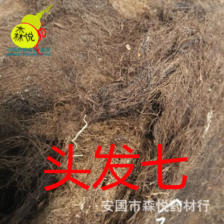头发七 批发冷背中药材 人头七 黑丝带 黑丝草正品 专药用 保含量