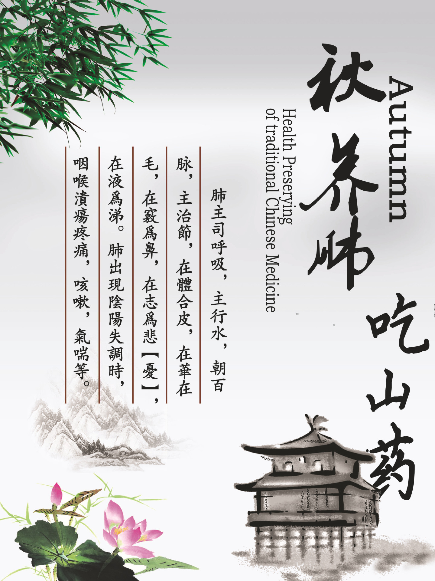 秋季养肺,吃山药哦!