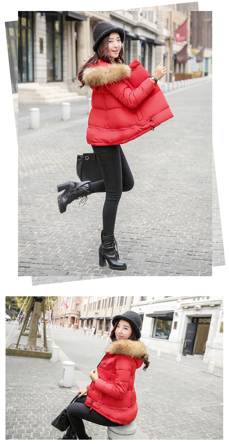 2418000029_678875555