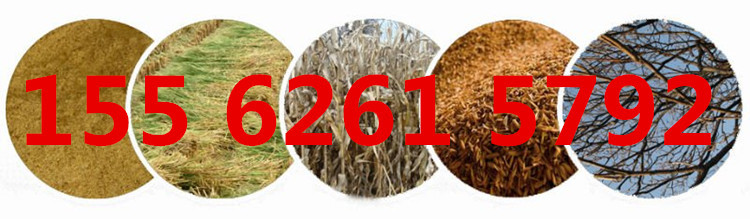 13-43-36-19-791672_副本