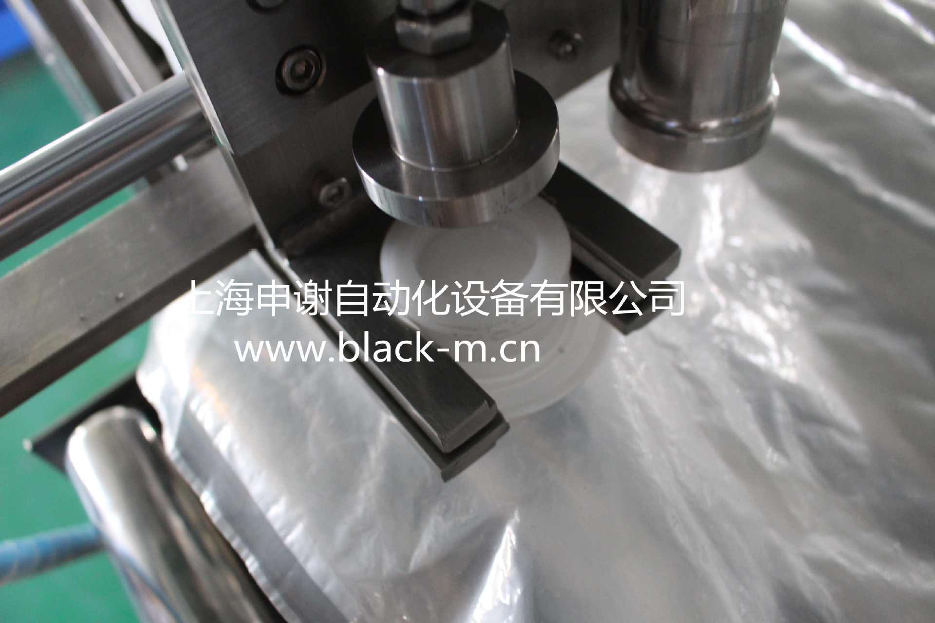 称重灌装机_辣椒油称重灌装机_BIB无菌袋辣椒