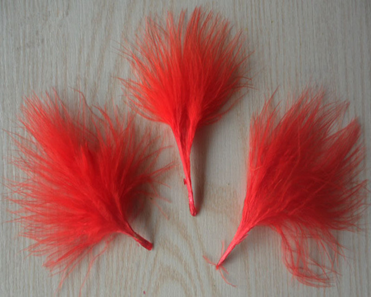 批发 进口天然火鸡毛 全绒羽毛 血管绒毛 美国进口火