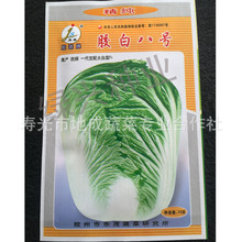 蔬菜种苗_蔬菜新品种可食用番薯叶种苗