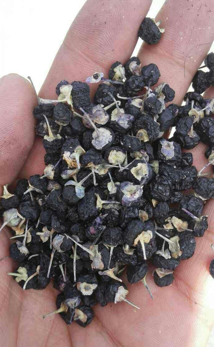 野生青海黑枸杞 自然无色素 大果 原生态无添加黑枸杞干