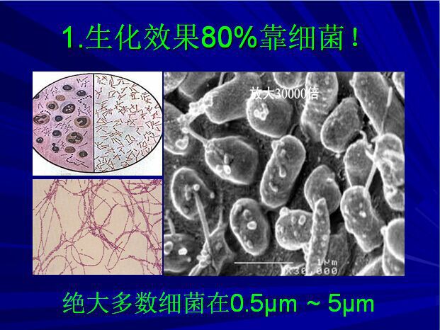 微生物填料