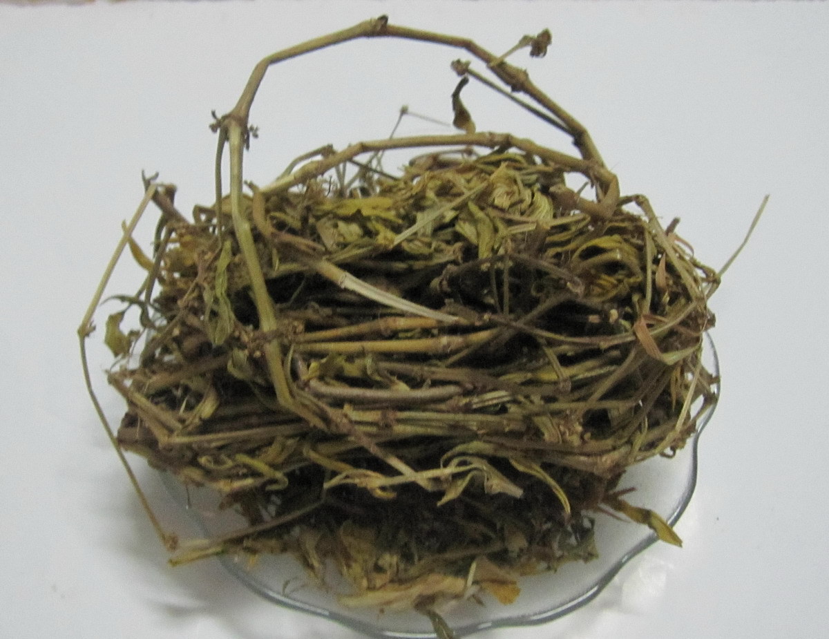 苦龙胆草/苦地胆提取物 凉血清热 现货供应 包邮