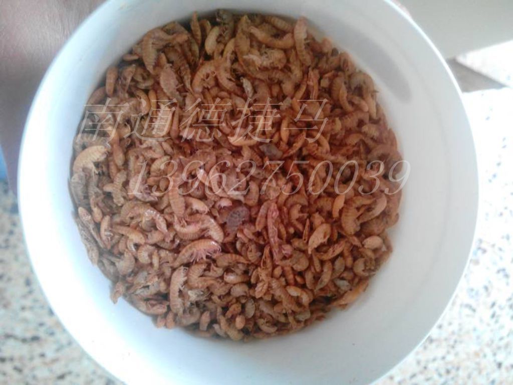 卤虫烘干机 南通*省钱烘干机 温湿度可控制的热泵热风炉烘干.