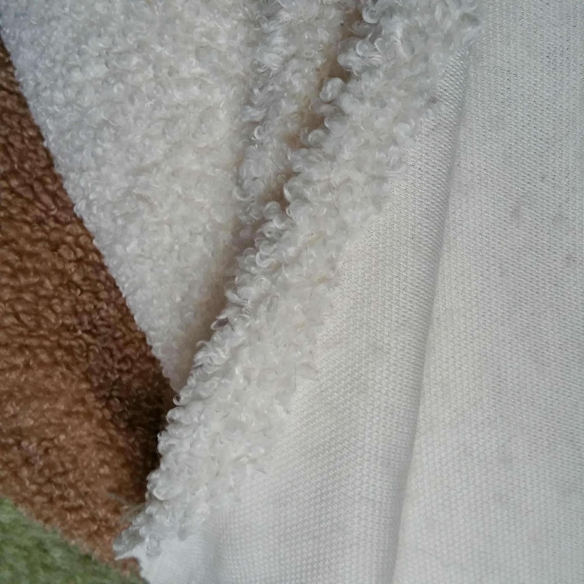 蚂蚁布 全涤绵羊绒布 700克 棕色 米白色 泰迪绒面料 - 布艺批发交易