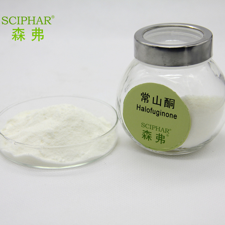 常山提取物_常山酮98% 常山提取物 天然植物