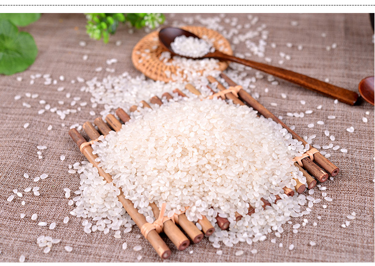 销售东北特产珍珠米圆粒 东北大米 黑土地特产 有机大米