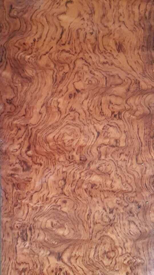巴花木板材 巴花大板巴西花梨木原木批发