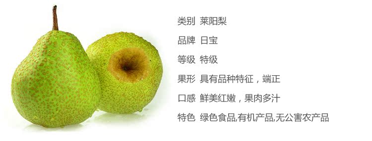 现货大量供应莱阳梨 茌梨 个头大 清脆可口 价格合理