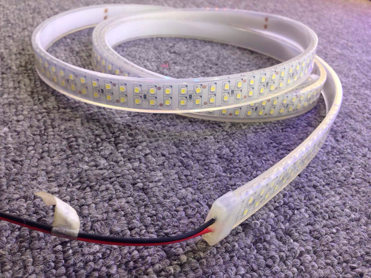 户外防水灯带 双排高亮240灯 3528贴片led灯条 柔性12v软灯条