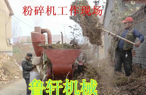 自动进料粉碎机现场