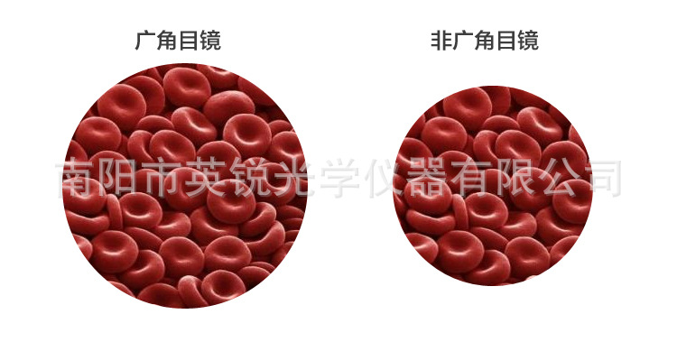 ES-44-SC淘宝详情（湛京）_07