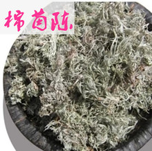 中药材 棉茵陈  土茵陈  草药批发