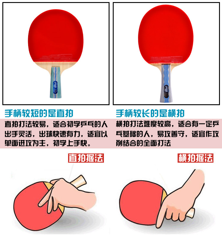 红双喜 dhs a6002 横拍双面反胶弧圈结合快攻 乒乓球拍 单只装