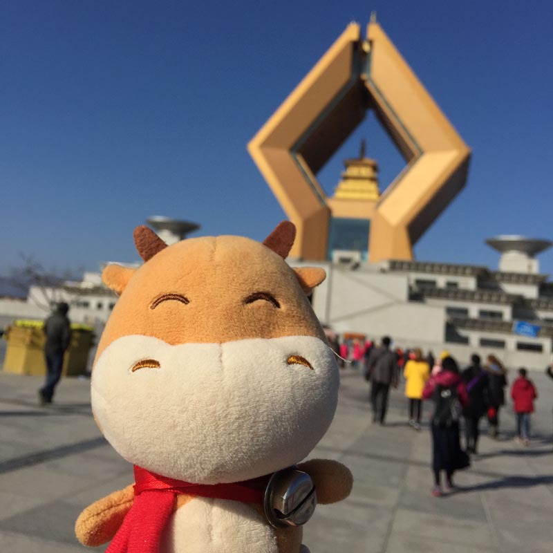 带着千牛游西安