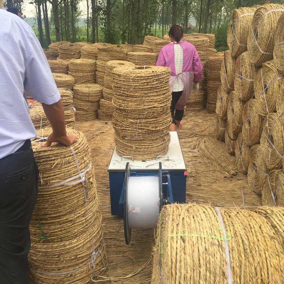 草绳市场批发价格 稻草绳捆土球 优质机器价格草绳