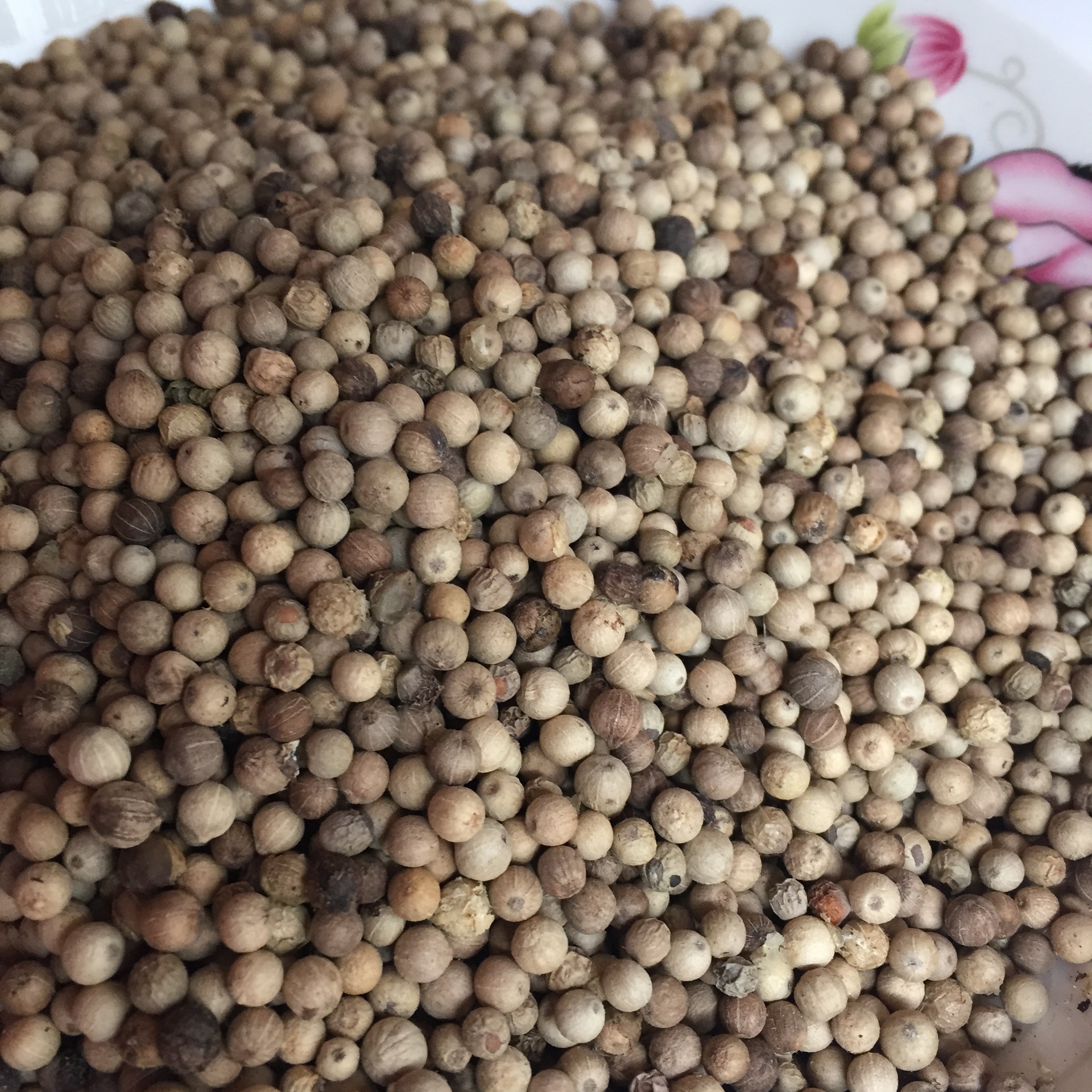 产地直销海南白胡椒 干胡椒 香料火锅