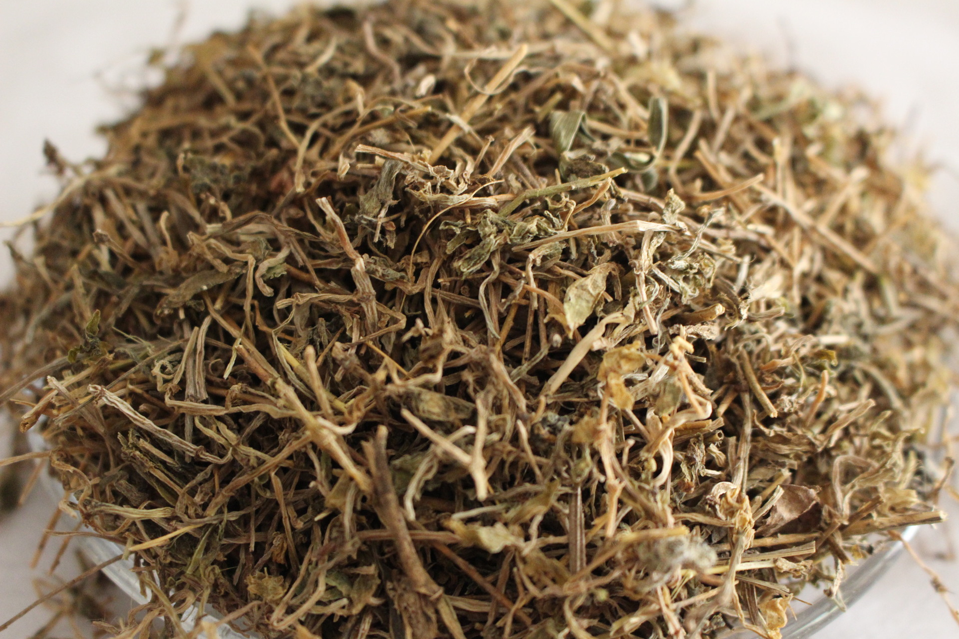 供应中药材 优质无硫磺熏蒸 垂盆草量大从优