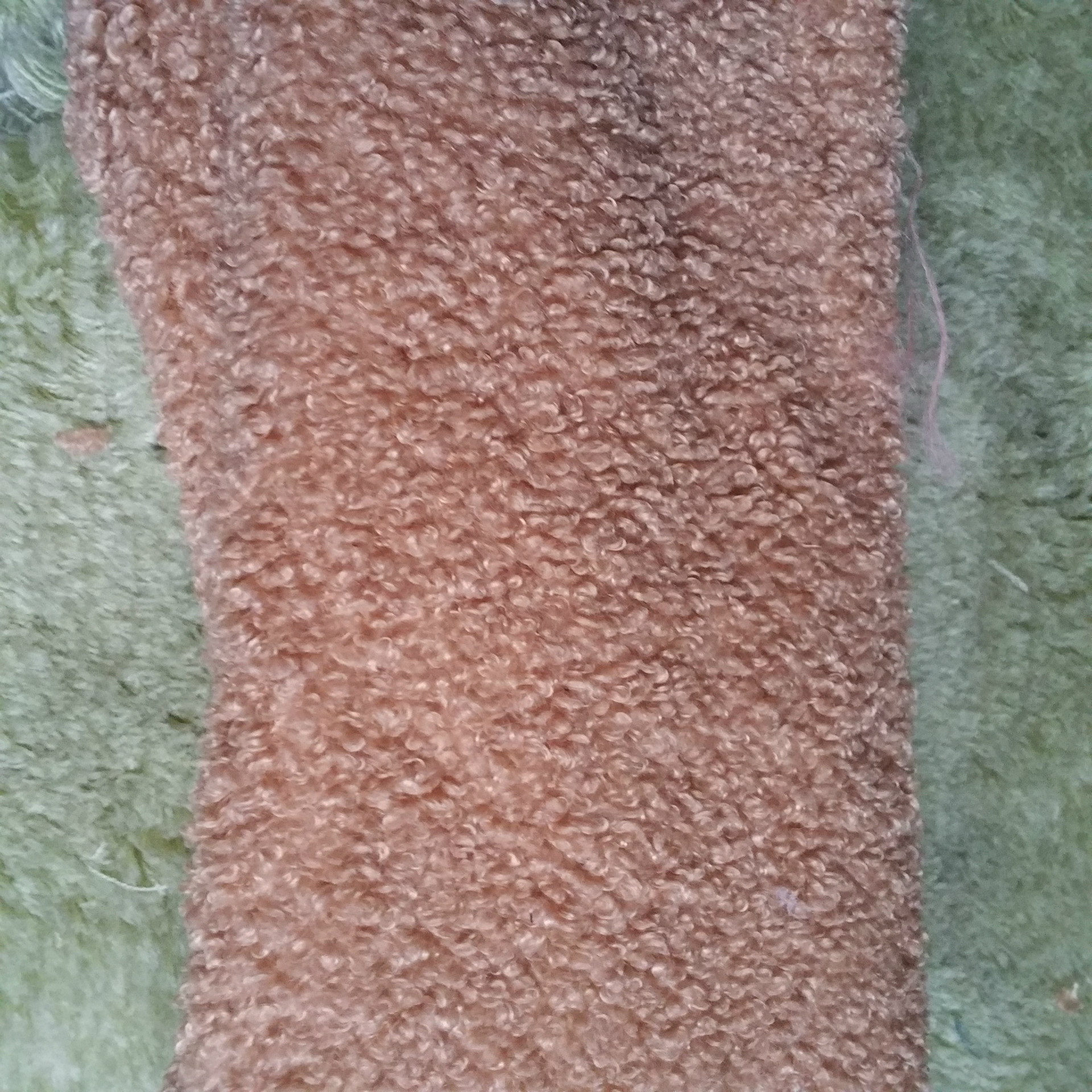 蚂蚁布 全涤绵羊绒布 700克 棕色 米白色 泰迪绒面料 - 布艺批发交易