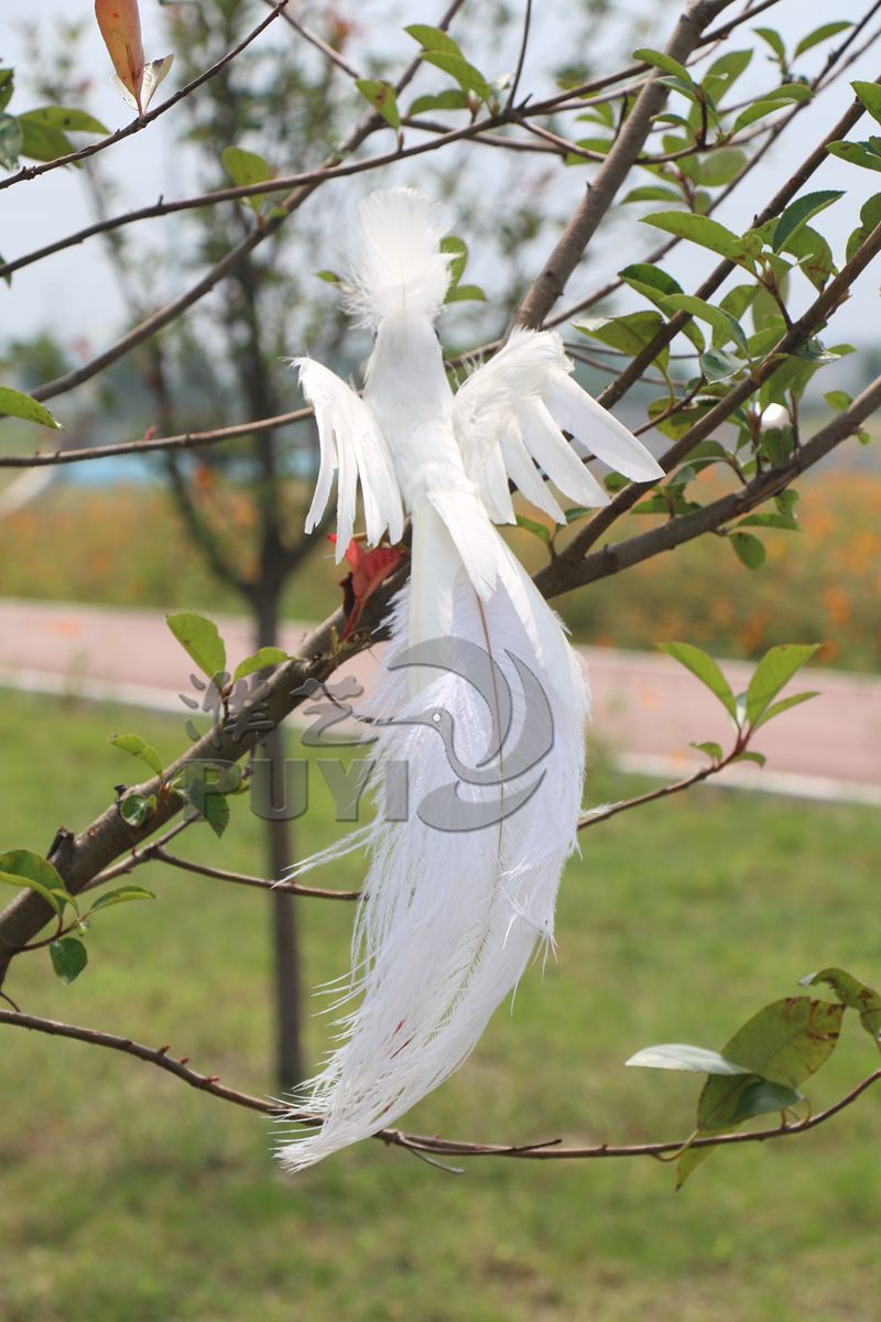 工厂直销白色婚庆道具家居摆件凤凰鸟长尾鸟羽毛鸟装饰工艺品摄影