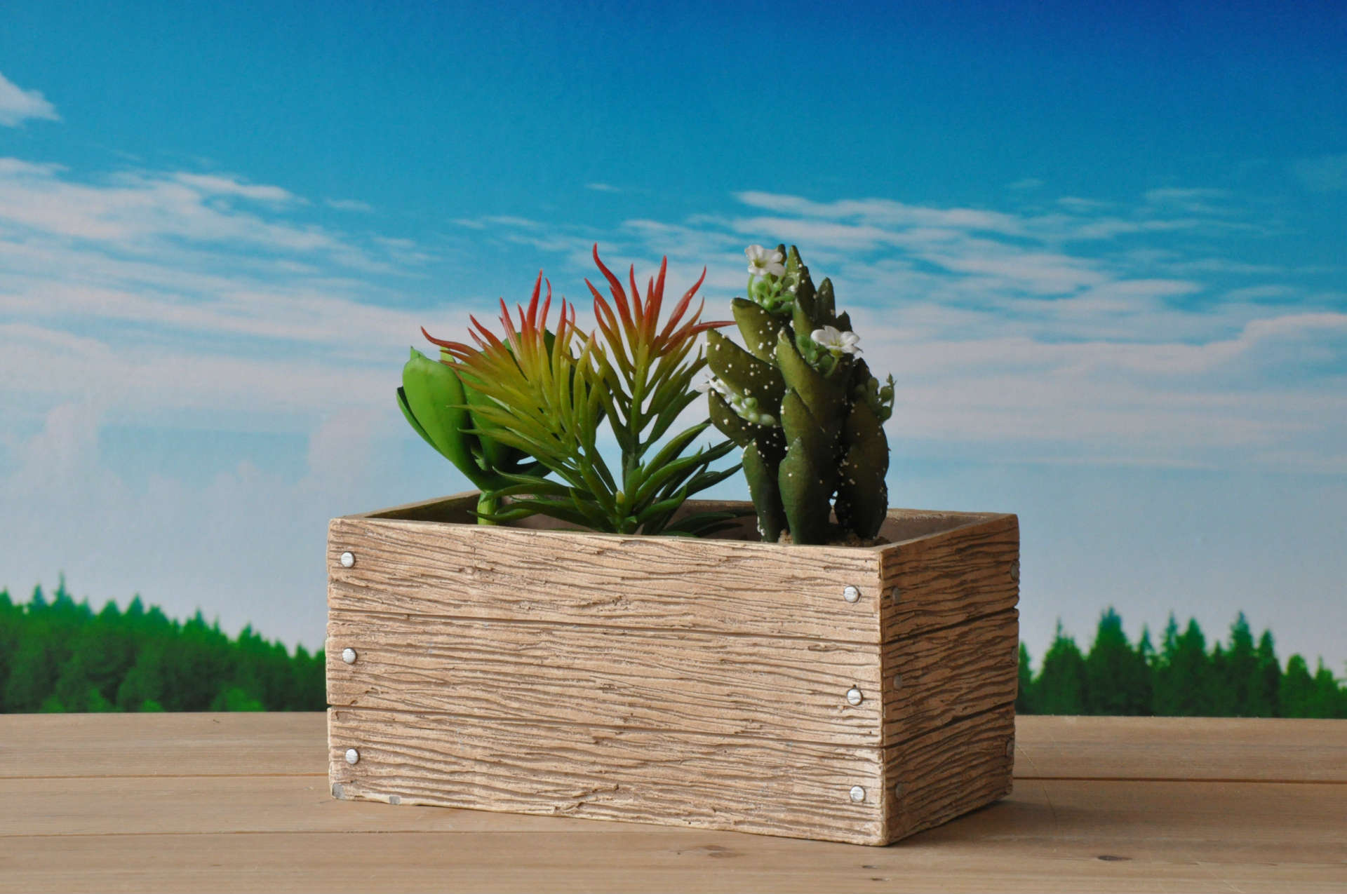 肉肉长方形大花盆 简约立体花盆 植物绿化苗圃盆栽花器批发qt250