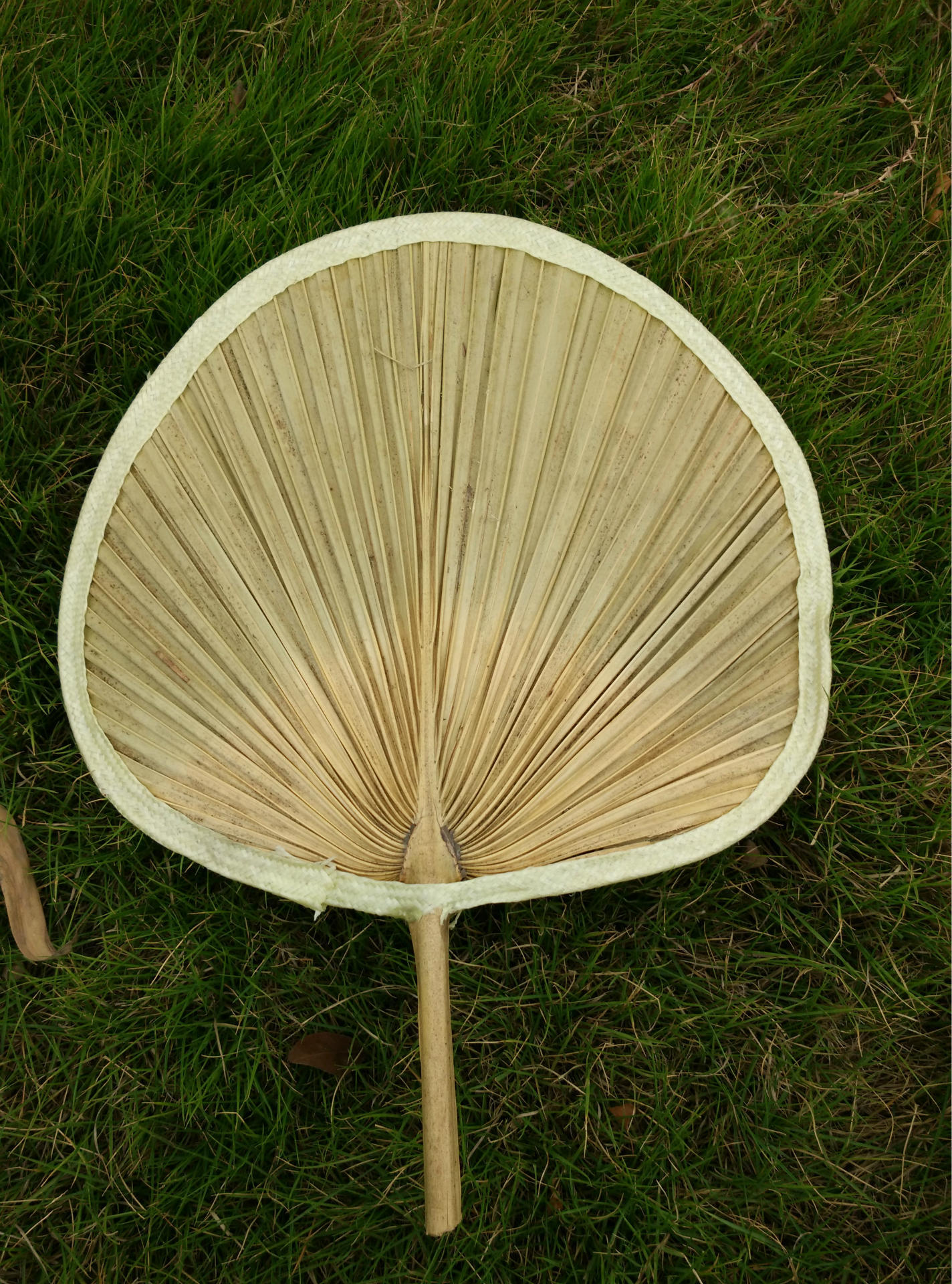 厂家直批芭蕉蒲扇大号环保扇原生态手工芭蕉叶葵扇纳凉扇子