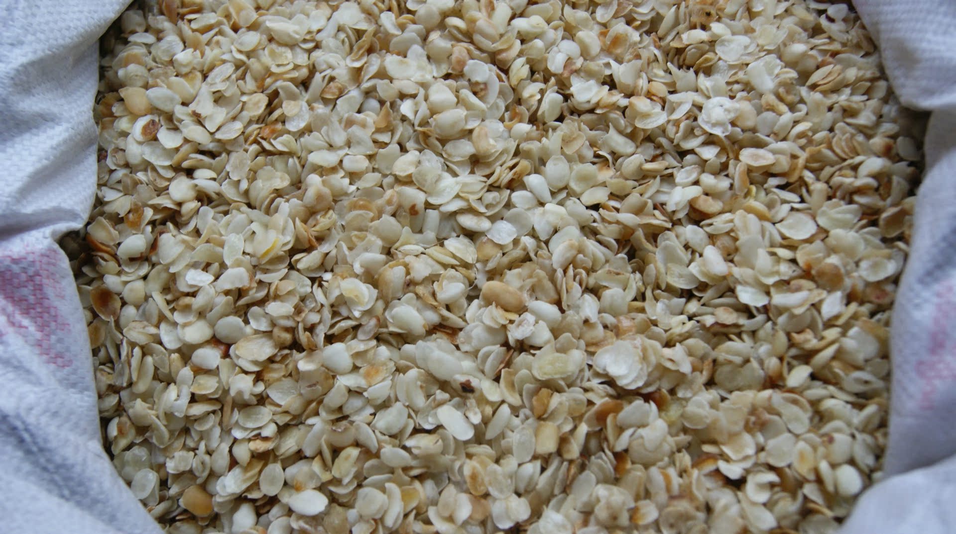 云南皂角米 雪莲子 品种集全 量大从优