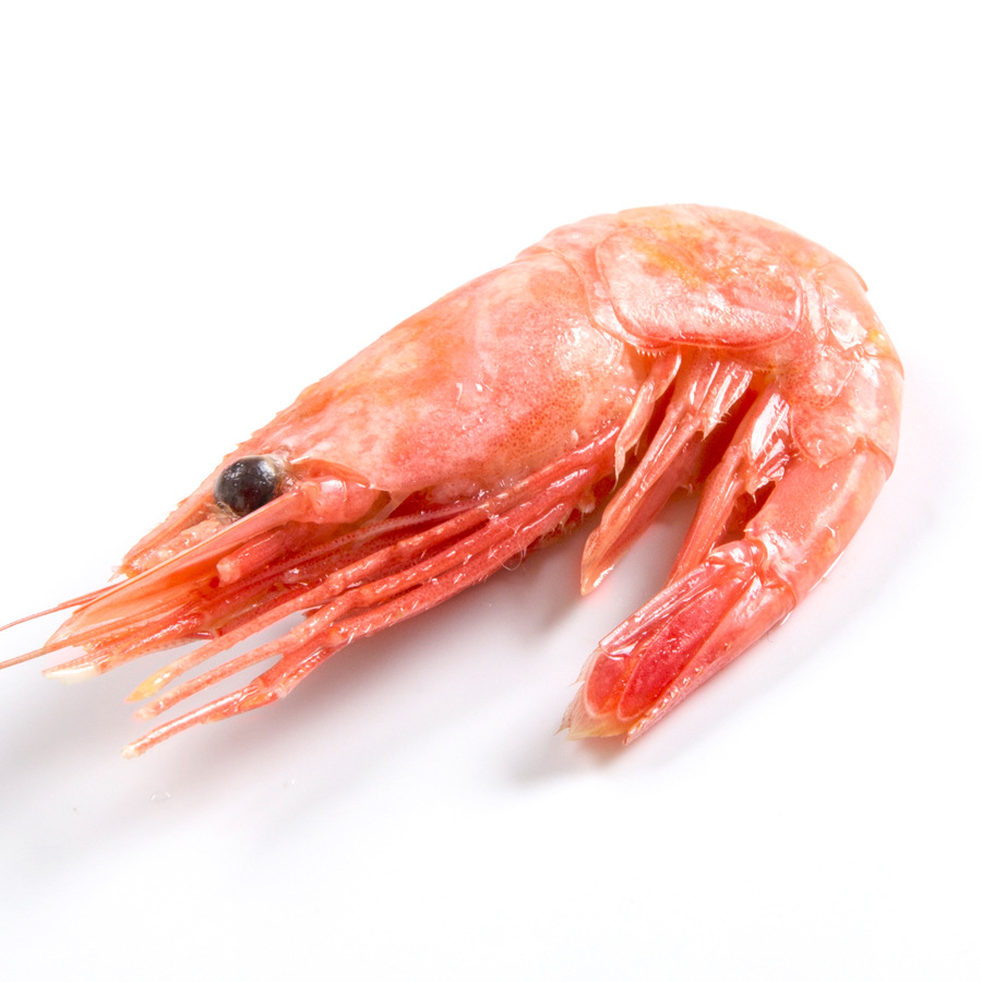 『鱼佳人』野生冷冻北极甜虾 原装进口10