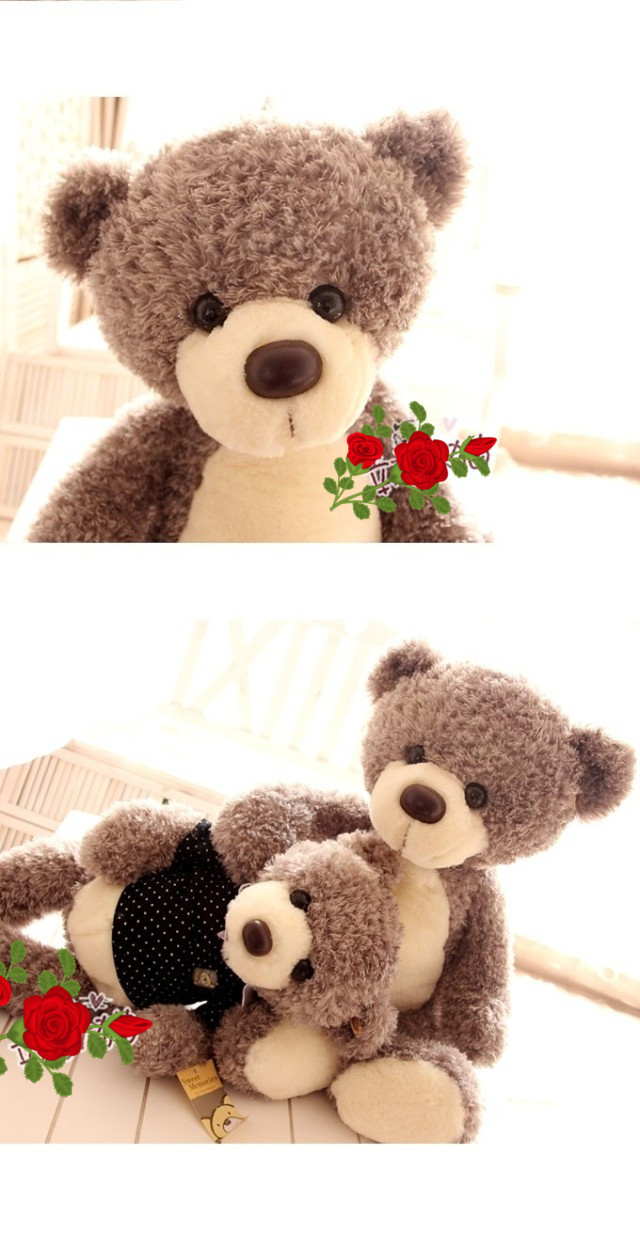 正品韩国情侣teddy bear可爱poio衫泰迪熊 送朋友生日礼物