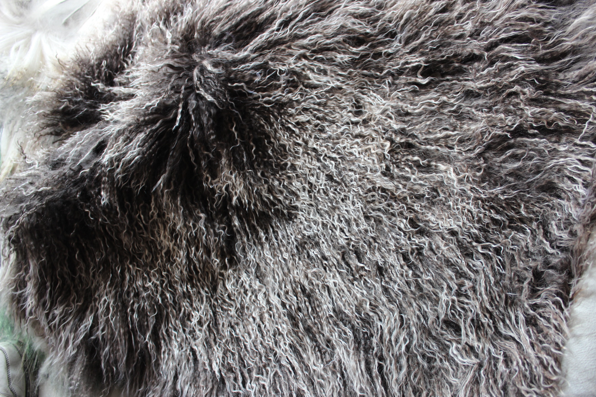 厂家包邮 秋冬服装用滩羊毛褥子 羊羔毛真