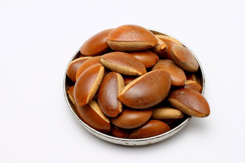 月亮豆菩提批发 菩提珠手串一斤160颗左右