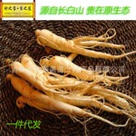 野红参 