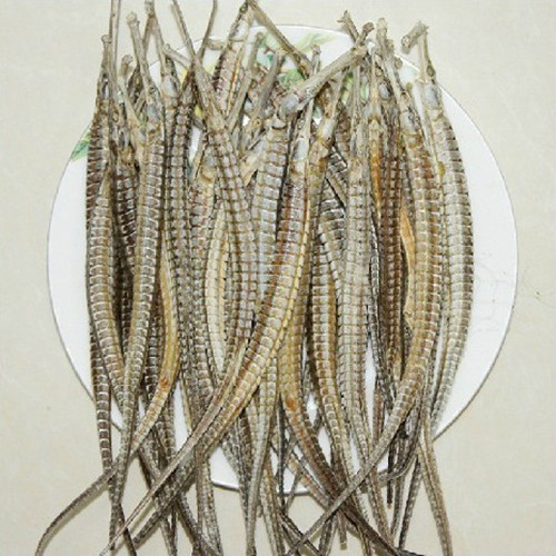 优质原料提取海龙提取物现货供应101