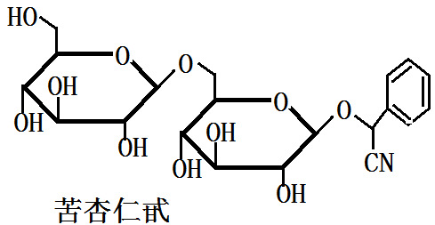 维生素B7结构式图片