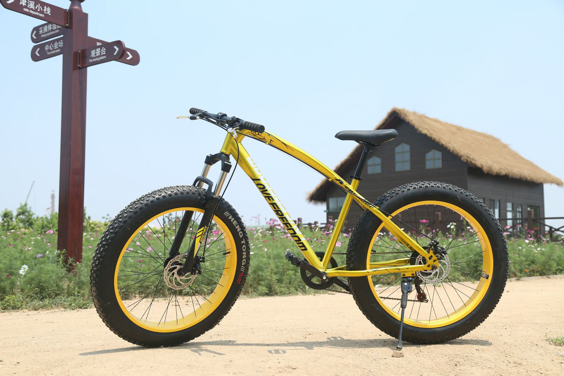 0宽胎大轮双碟刹高碳钢男女爱自由雪地车山地车-普通,通勤自行车