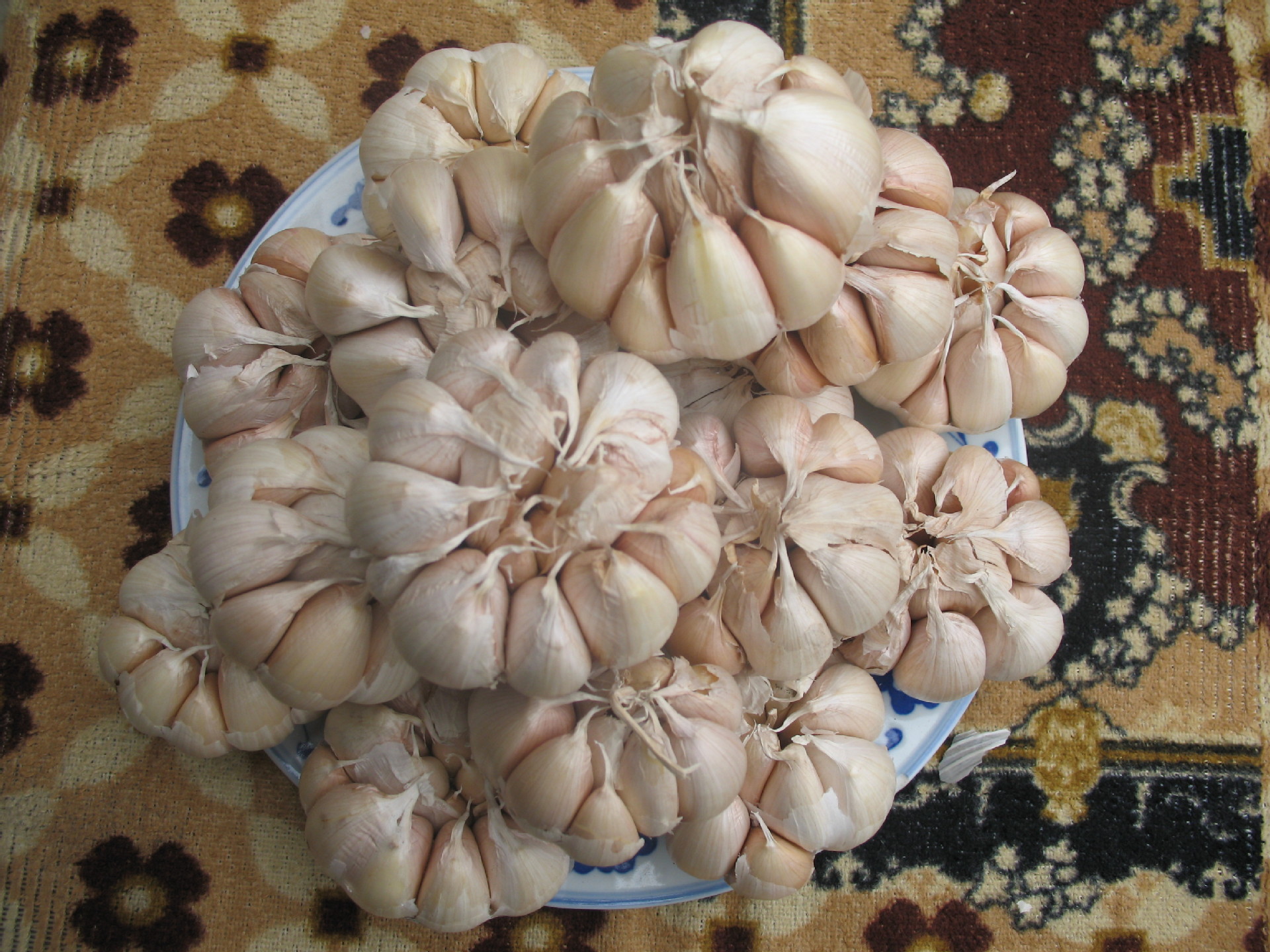 广西特产现货白皮蒜 大蒜批发 香辣白皮蒜 广西蒜种植基地直供