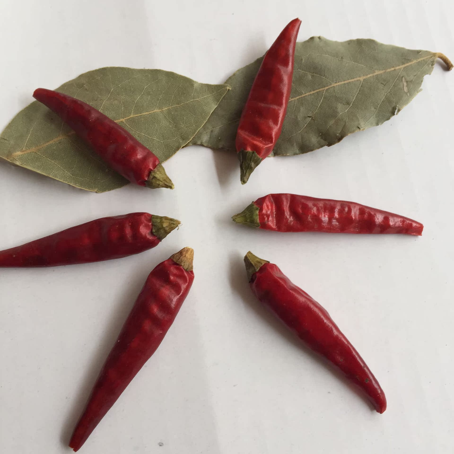 产地直销贵州满天星 特辣的小米辣海椒 干辣椒火锅底中餐特产