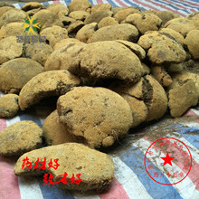 500克包邮 西藏林芝纯野生高原雪灵芝 西藏特有雪灵芝 高海拔灵芝