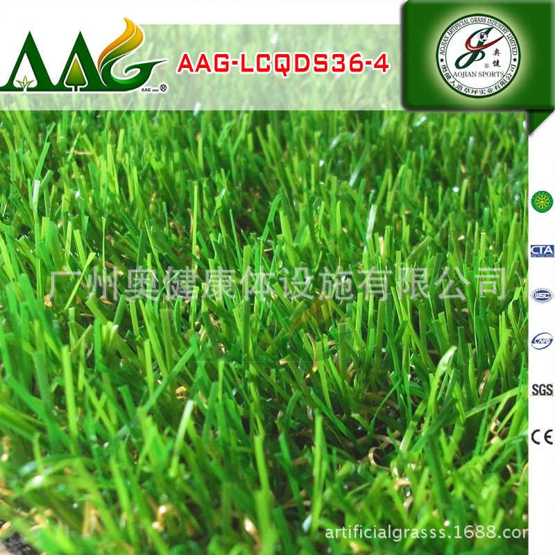 AAG-LCQDS36-4 (8)