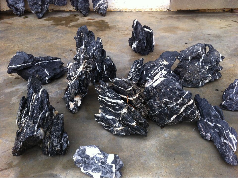 自销英石青龙石水族专用石石头价格优惠供应各种假山石